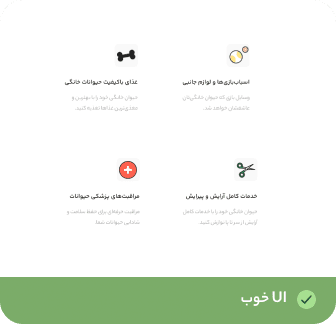 UI/UX